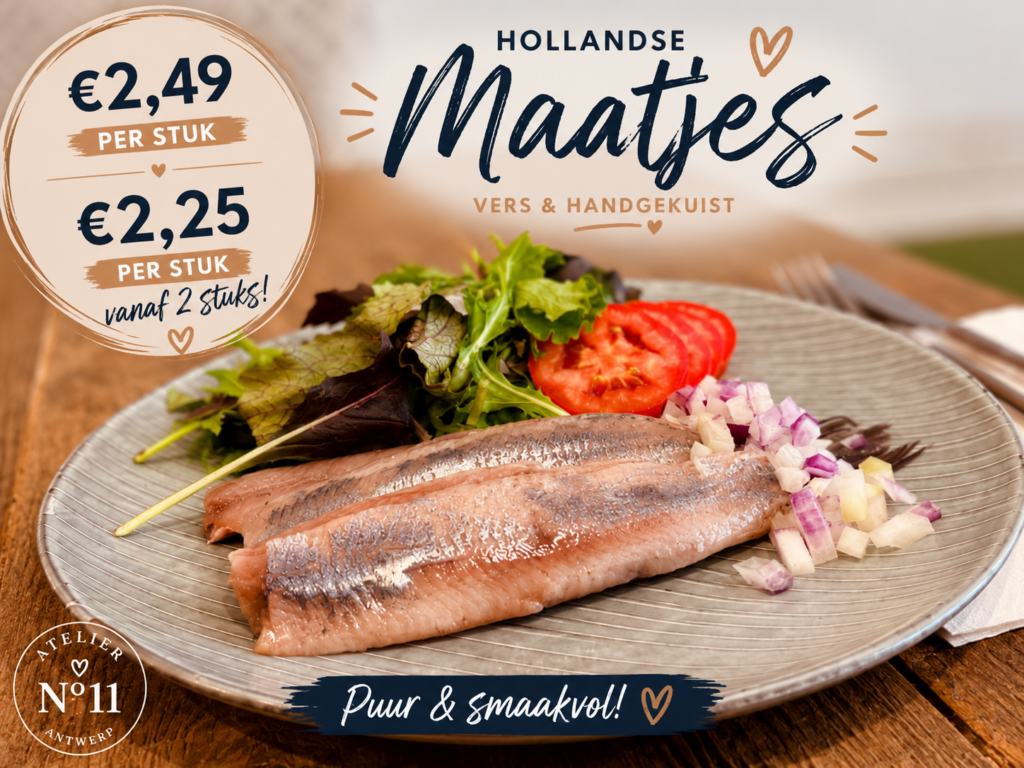 Hollandse Maatjes