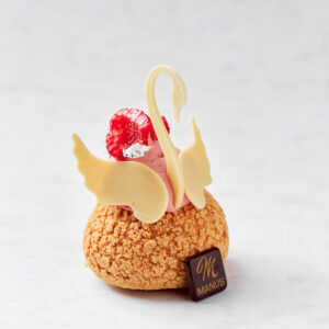 Zwaantje Lactosevrij Patisserie Manus